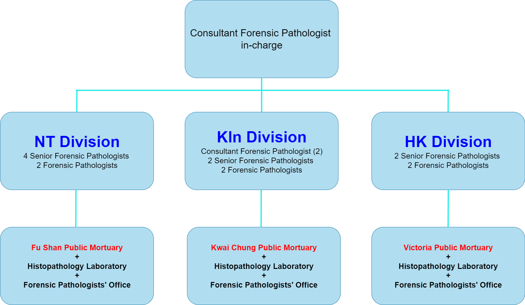 Organisation Chart